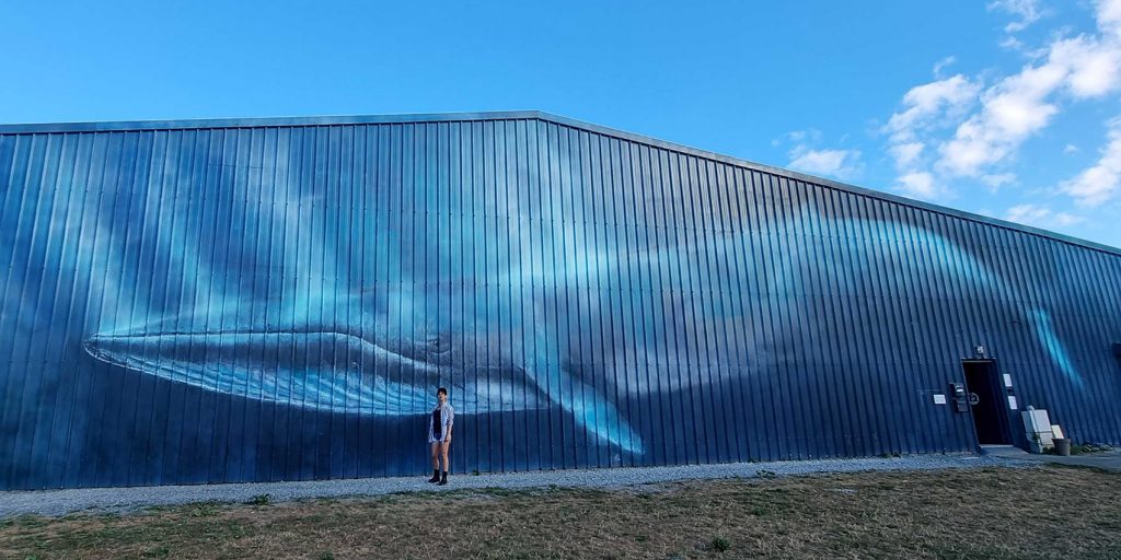 Fresque géante représentant une baleine en taille réelle sur un bâtiment à la Rochelle