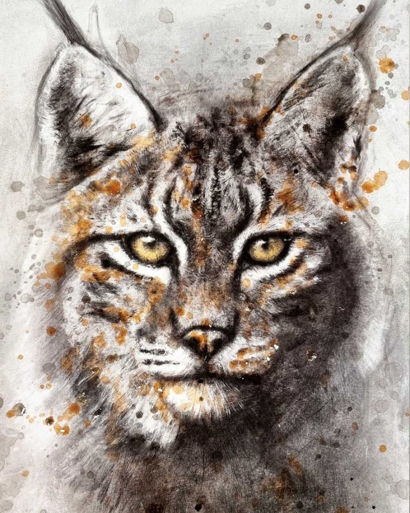 peinture de lynx par une artiste animalière Sandrot