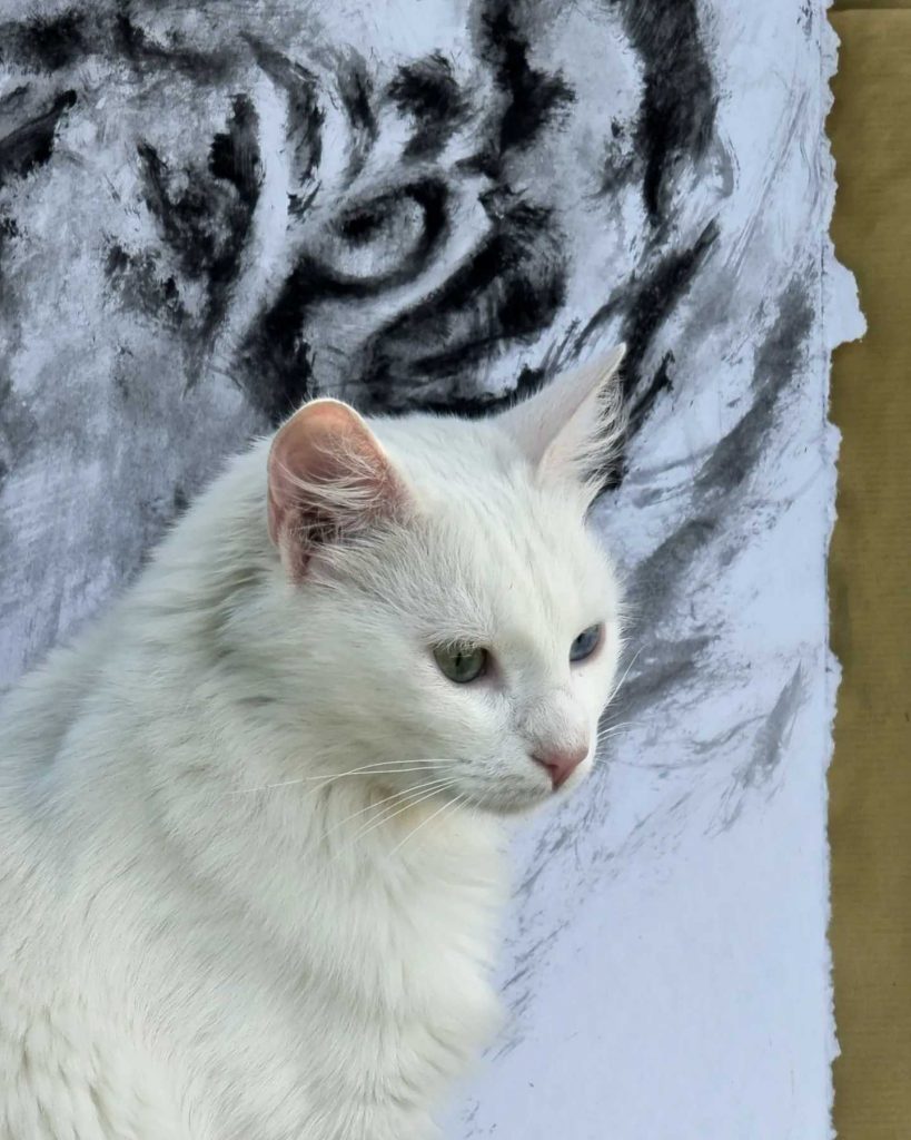 chat devant une peinture de tigre