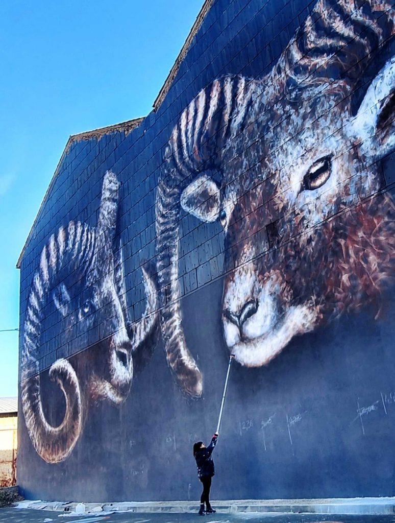 Fresque géante représentant des mouflons peint par l'artiste animalière Sandrot